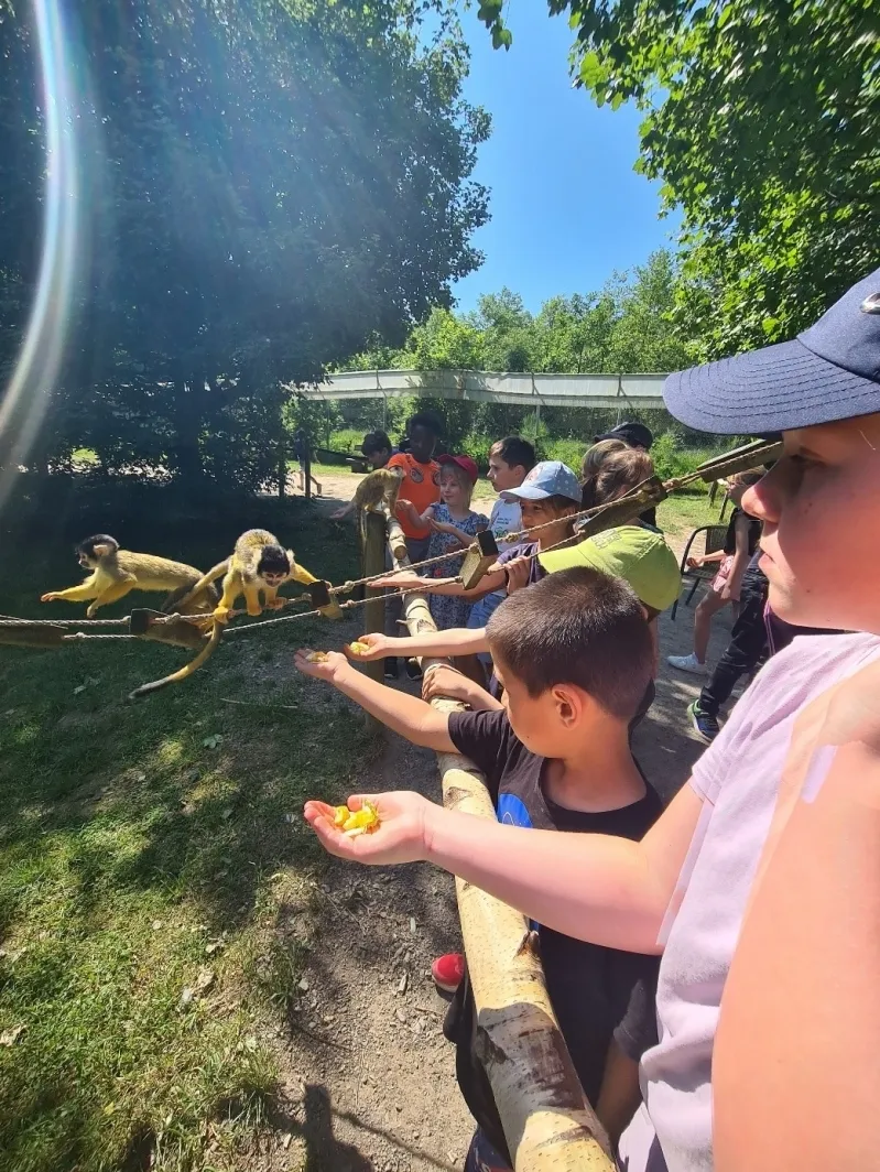Leider keine Bildbeschreibung für original_11606.jpg vorhanden.