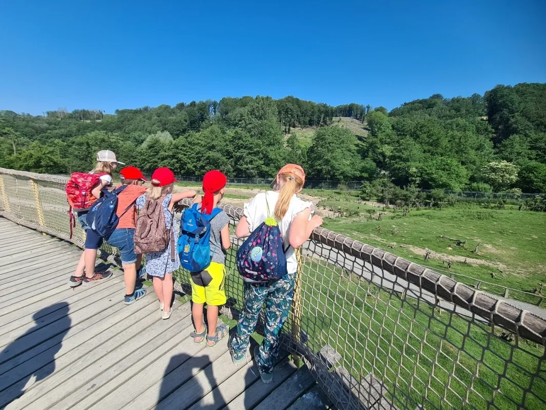 Leider keine Bildbeschreibung für original_11607.jpg vorhanden.