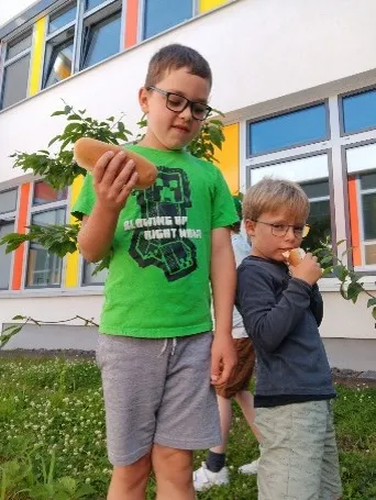 Leider keine Bildbeschreibung für bild6.jpg vorhanden.