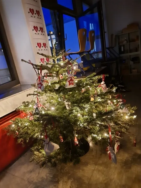 Eisbärenklasse