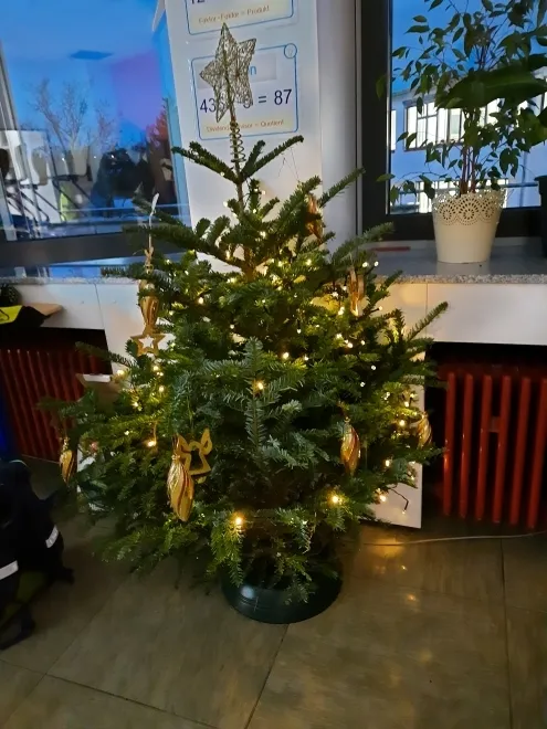 Zebraklasse